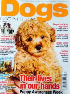 Post image for Featured in Dogs Monthly magazine