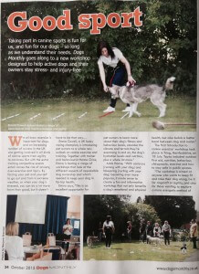dogs-monthly-p1