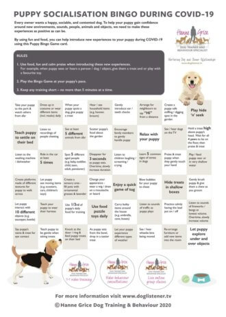 Post image for Puppy Socialisation Bingo – During COVID-19